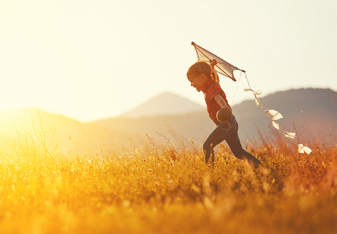 Lees meer over het artikel Tortor neque adpiscing diam